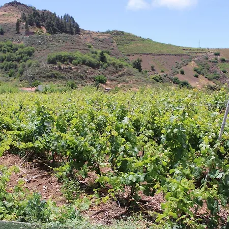 Finca El Cole Villa Las Palmas de Gran Canaria