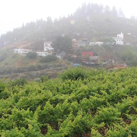 Finca El Cole Las Palmas de Gran Canaria