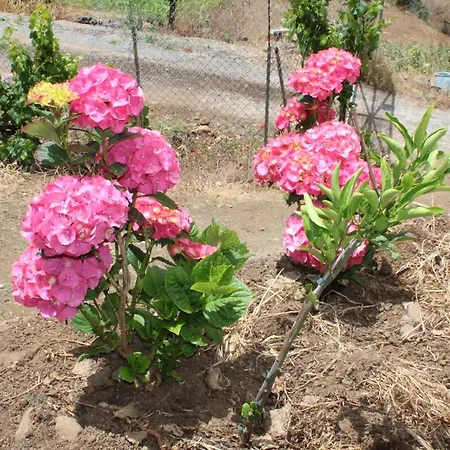 Finca El Cole Villa