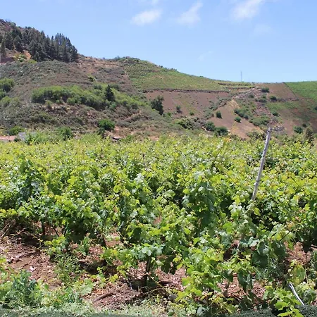 Finca El Cole Villa Las Palmas de Gran Canaria