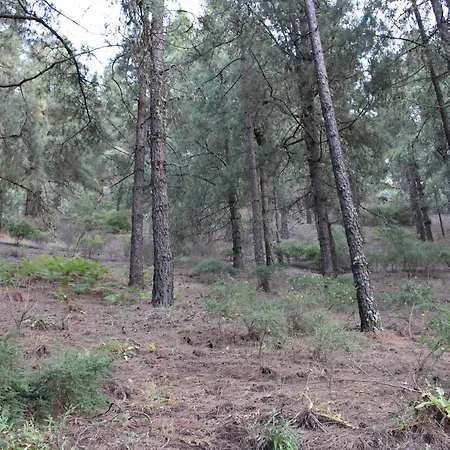 Finca El Cole Las Palmas de Gran Canaria